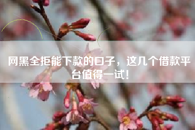 网黑全拒能下款的口子，这几个借款平台值得一试！