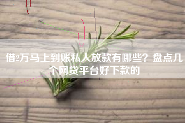 借2万马上到账私人放款有哪些？盘点几个网贷平台好下款的