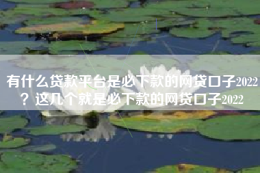 有什么贷款平台是必下款的网贷口子2022？这几个就是必下款的网贷口子2022