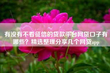 有没有不看征信的贷款平台网贷口子有哪些？精选整理分享几个网贷app