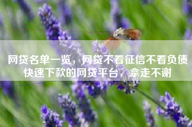 网贷名单一览，网贷不看征信不看负债快速下款的网贷平台，拿走不谢