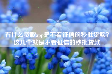 有什么贷款app是不看征信的秒批贷款？这几个就是不看征信的秒批贷款