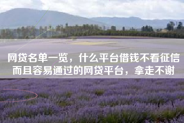 网贷名单一览，什么平台借钱不看征信而且容易通过的网贷平台，拿走不谢