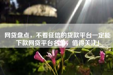 网贷盘点，不看征信的贷款平台一定能下款网贷平台名单，值得关注！