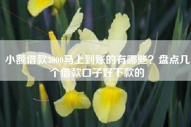 小额借款3000马上到账的有哪些？盘点几个借款口子好下款的