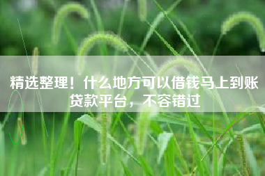精选整理！什么地方可以借钱马上到账贷款平台，不容错过