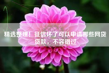 精选整理！征信坏了可以申请哪些网贷贷款，不容错过