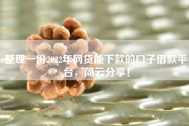 整理一份2022年网贷能下款的口子借款平台，简云分享！