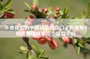 不查征信的小额贷款网贷口子有哪些？精选整理分享几个贷款平台