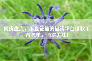 网贷盘点，不查征信的借钱平台借款平台名单，值得关注！
