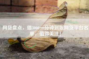 网贷盘点，借3000一分钟到账网贷平台名单，值得关注！