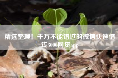 精选整理！千万不能错过的微信快速借钱3000网贷app