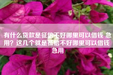 有什么贷款是征信不好哪里可以借钱 急用？这几个就是征信不好哪里可以借钱 急用