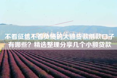 不看征信不看负债的大额贷款借款口子有哪些？精选整理分享几个小额贷款