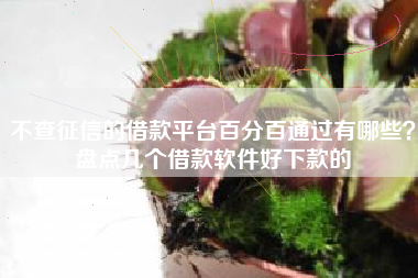 不查征信的借款平台百分百通过有哪些？盘点几个借款软件好下款的
