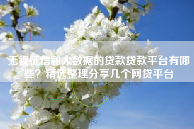 无视征信和大数据的贷款贷款平台有哪些？精选整理分享几个网贷平台