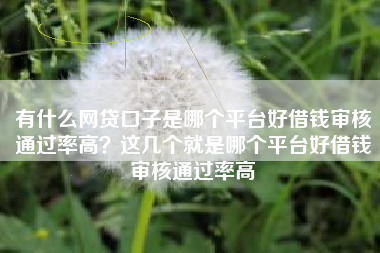 有什么网贷口子是哪个平台好借钱审核通过率高？这几个就是哪个平台好借钱审核通过率高