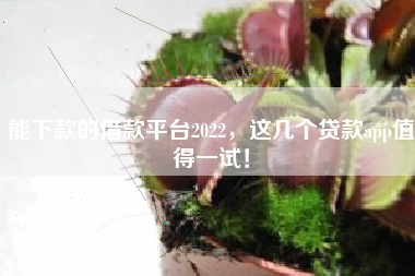 能下款的借款平台2022，这几个贷款app值得一试！