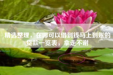 精选整理，在哪可以借到钱马上到账的贷款一览表，拿走不谢