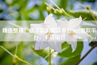 精选整理！能下款的借款平台2022借款平台，不容错过