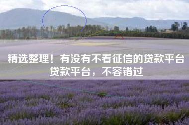 精选整理！有没有不看征信的贷款平台贷款平台，不容错过
