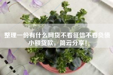 整理一份有什么网贷不看征信不看负债小额贷款，简云分享！