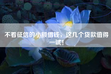 不看征信的小额借钱，这几个贷款值得一试！