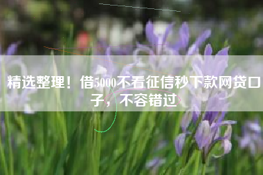 精选整理！借5000不看征信秒下款网贷口子，不容错过