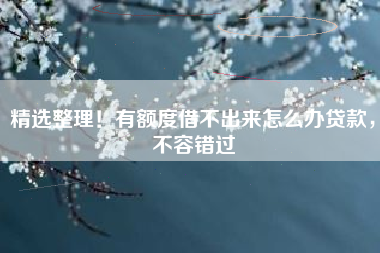 精选整理！有额度借不出来怎么办贷款，不容错过