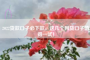 2022贷款口子必下款，这几个网贷口子值得一试！