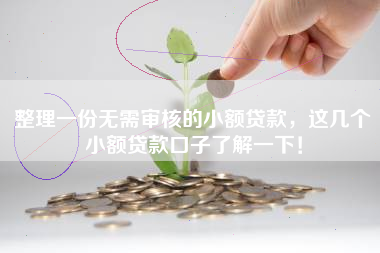 整理一份无需审核的小额贷款，这几个小额贷款口子了解一下！