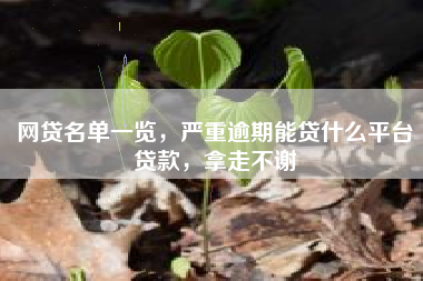 网贷名单一览，严重逾期能贷什么平台贷款，拿走不谢