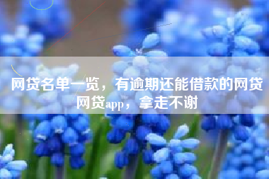 网贷名单一览，有逾期还能借款的网贷网贷app，拿走不谢