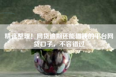 精选整理！网贷逾期还能借钱的平台网贷口子，不容错过