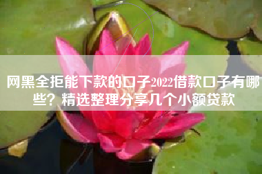 网黑全拒能下款的口子2022借款口子有哪些？精选整理分享几个小额贷款