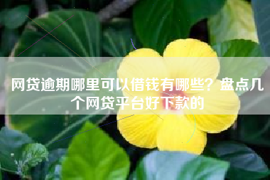 网贷逾期哪里可以借钱有哪些？盘点几个网贷平台好下款的