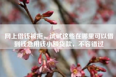 网上借钱被拒，试试这些在哪里可以借到钱急用钱小额贷款，不容错过