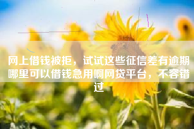 网上借钱被拒，试试这些征信差有逾期哪里可以借钱急用啊网贷平台，不容错过