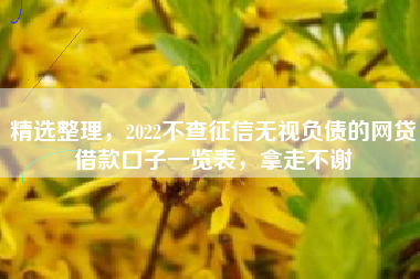 精选整理，2022不查征信无视负债的网贷借款口子一览表，拿走不谢