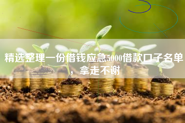精选整理一份借钱应急5000借款口子名单，拿走不谢