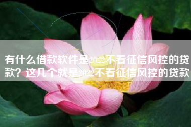有什么借款软件是2022不看征信风控的贷款？这几个就是2022不看征信风控的贷款