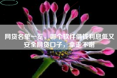网贷名单一览，哪个软件借钱利息低又安全网贷口子，拿走不谢