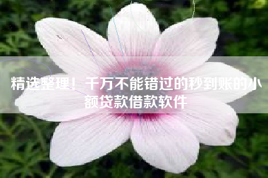 精选整理！千万不能错过的秒到账的小额贷款借款软件