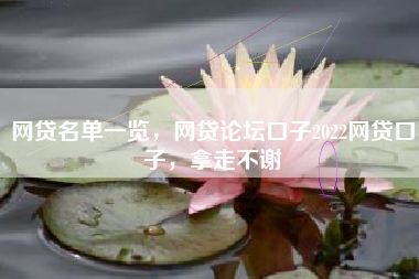 网贷名单一览，网贷论坛口子2022网贷口子，拿走不谢