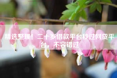 精选整理！二十岁借款平台秒过网贷平台，不容错过