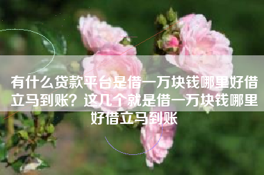 有什么贷款平台是借一万块钱哪里好借立马到账？这几个就是借一万块钱哪里好借立马到账