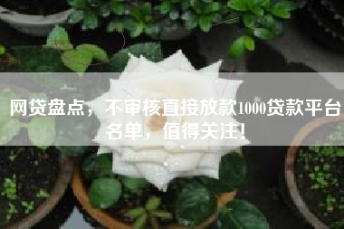 网贷盘点，不审核直接放款1000贷款平台名单，值得关注！