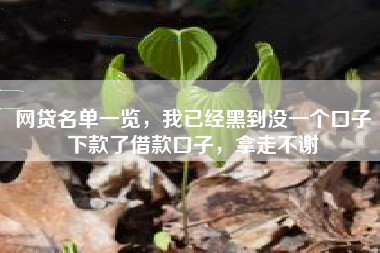 网贷名单一览，我已经黑到没一个口子下款了借款口子，拿走不谢