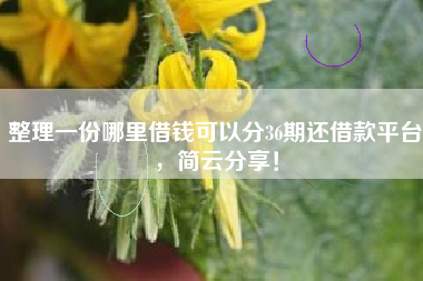 整理一份哪里借钱可以分36期还借款平台，简云分享！