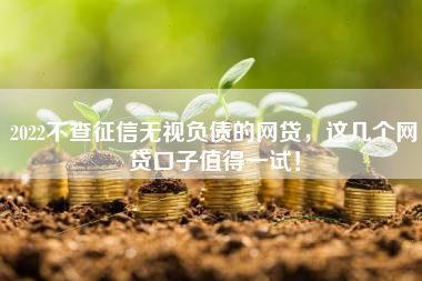 2022不查征信无视负债的网贷，这几个网贷口子值得一试！